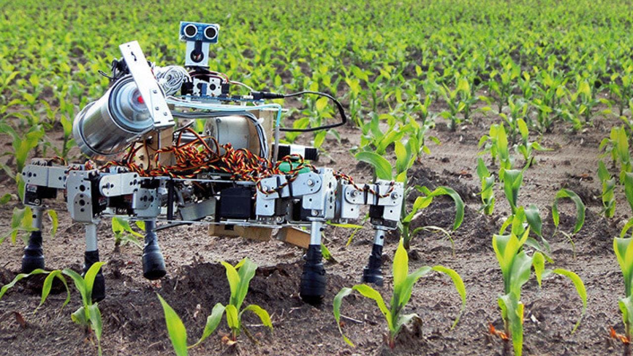 Seeding the Future: The Convergence of Robotics in Agriculture and the Hylman Advantage in Leading the Change